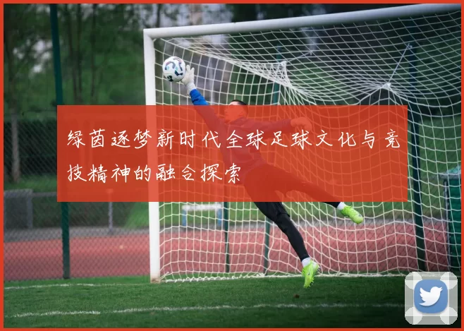 绿茵逐梦新时代全球足球文化与竞技精神的融合探索