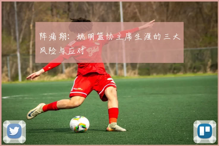 阵痛期：姚明篮协主席生涯的三大风险与应对
