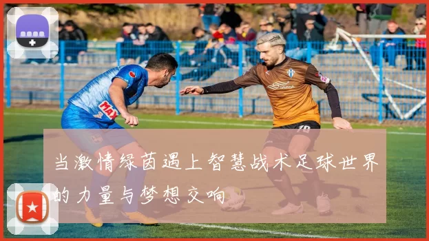当激情绿茵遇上智慧战术足球世界的力量与梦想交响