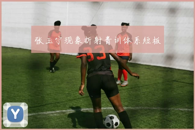 张玉宁现象折射青训体系短板