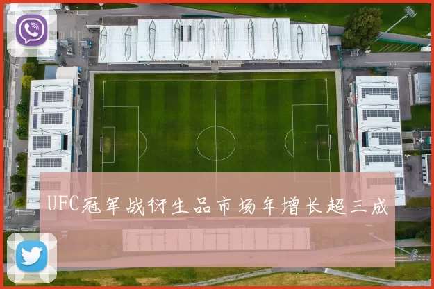UFC冠军战衍生品市场年增长超三成
